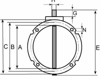 BV8 face