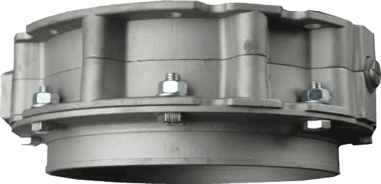 bv1 cropped