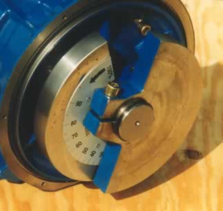 VE LARGE  WEIGHTS